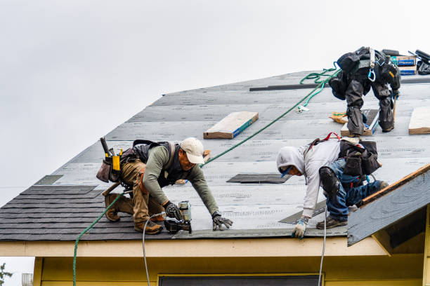 Professional Roofing technician working in Santiago, MN
